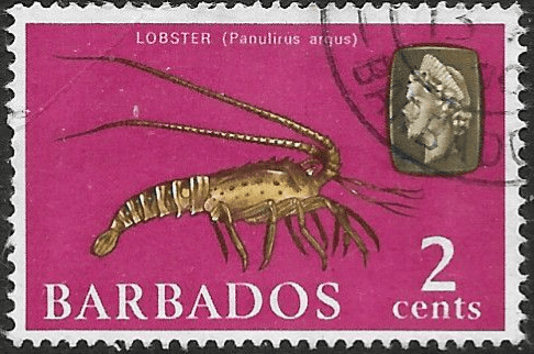 Barbados 1965 QE II SG 323 Marine Life Lobster Fine Used