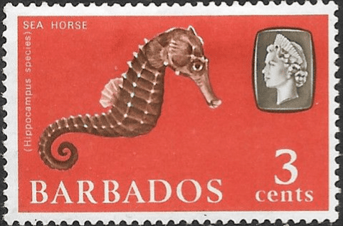 Barbados 1965 QE II SG 324 Marine Life Sea Horse Fine Mint
