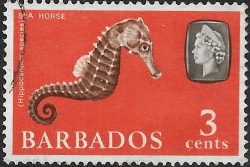 Barbados 1965 QE II SG 324 Marine Life Sea Horse Fine Used