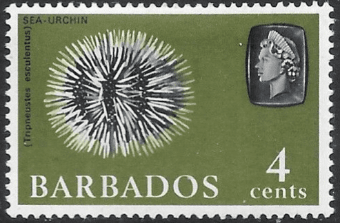 Barbados 1965 QE II SG 325 Marine Life Sea Urchin Fine Mint