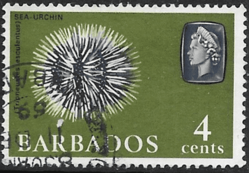Barbados 1965 QE II SG 325 Marine Life Sea Urchin Fine Used