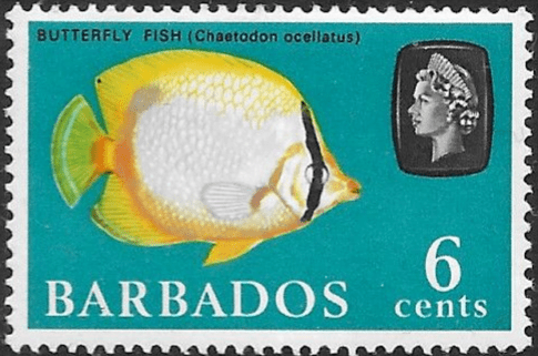 Barbados 1965 QE II SG 327 Marine Life Spot-finned Butterflyfish Fine mint