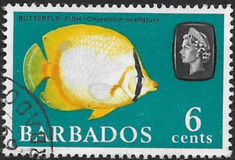 Barbados 1965 QE II SG 327 Marine Life Spot-finned Butterflyfish Fine Used