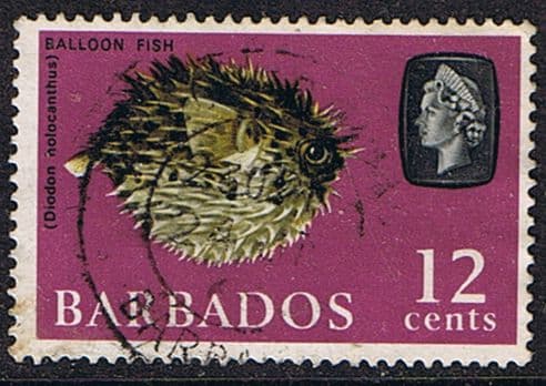 Barbados 1965 QE II SG 329 Porcupinefish Fine Used