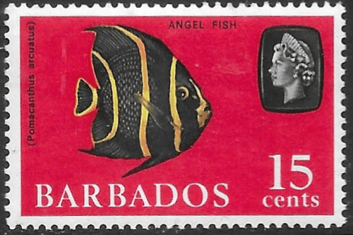 Barbados 1965 QE II SG 330 Grey Angelfish Fine Mint