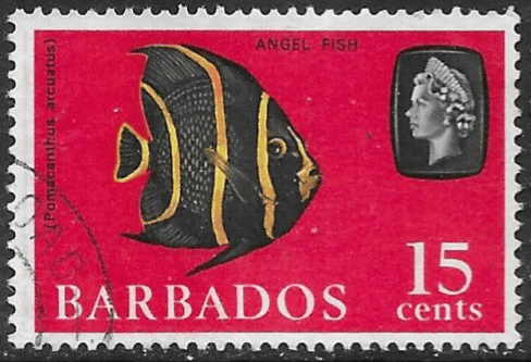 Barbados 1965 QE II SG 330 Grey Angelfish Fine Used
