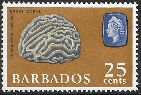 Barbados 1965 QE II SG 331 Brain Coral Fine Mint