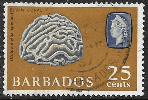 Barbados 1965 QE II SG 331 Brain Coral Fine Used