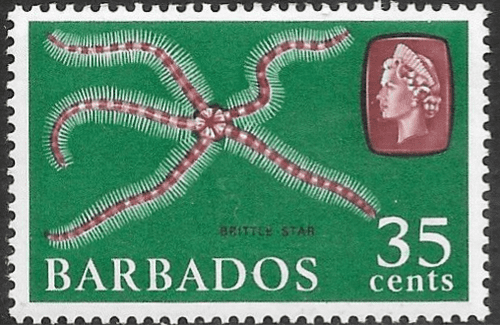 Barbados 1965 QE II SG 332 Marine Life  Brittle Star Fine Mint