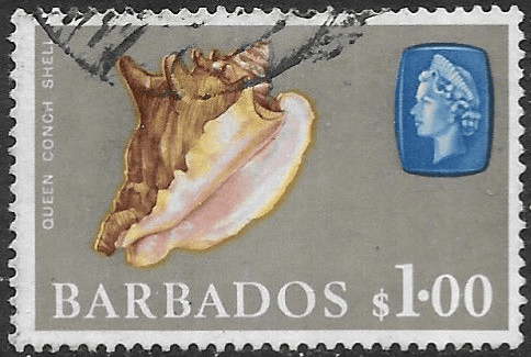 Barbados 1965 QE II SG 334 Marine Life Queen or Pink Conch shell Fine Used