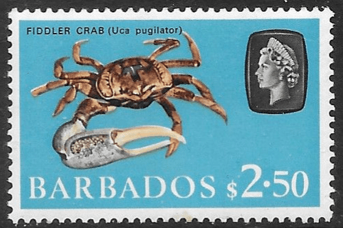 Barbados 1965 QE II SG 335 Marine Life Fiddler Crab Fine Mint