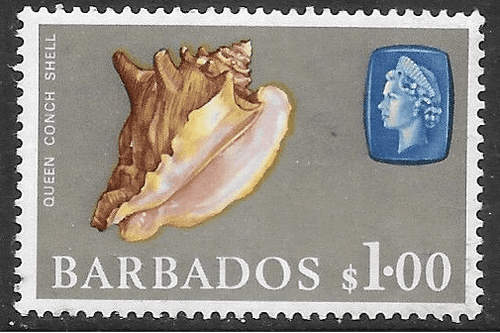 Barbados 1966 QE II SG 354 Marine Life Queen or Pink Conch shell Fine Mint