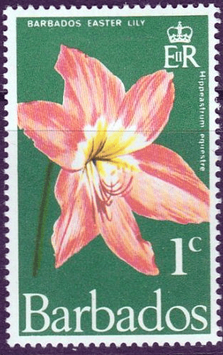 Barbados 1970 Flowers SG 419 Fine Mint