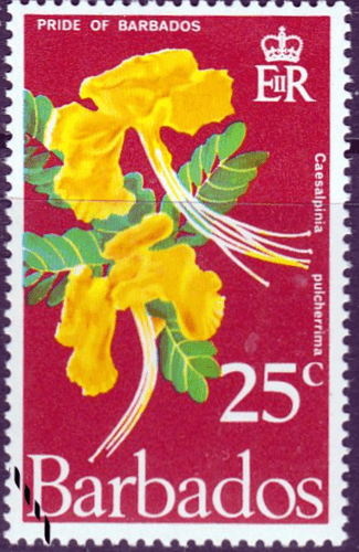 Barbados 1970 Flowers SG 422 Fine Used