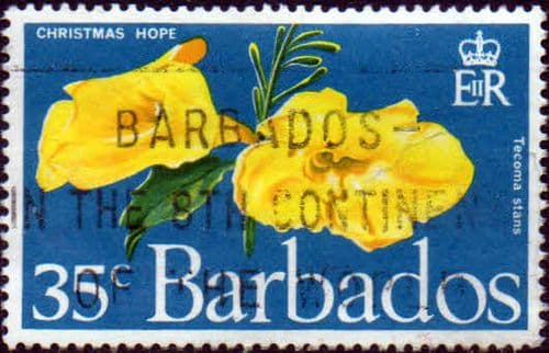 Barbados 1970 Flowers SG 423 Fine Used
