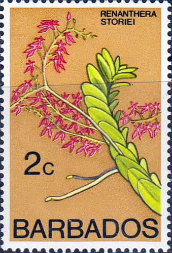 Barbados 1974 Orchids SG 486 Fine Mint