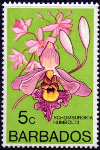 Barbados 1974 Orchids SG 489 Fine Mint