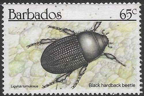Barbados 1990  Insects SG 938 Fine Used