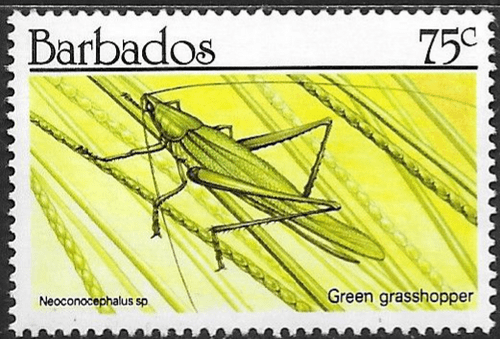 Barbados 1990  Insects SG 939 Fine Mint