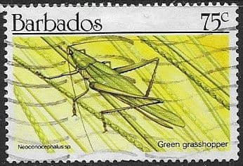 Barbados 1990 Insects SG 939 Fine Used