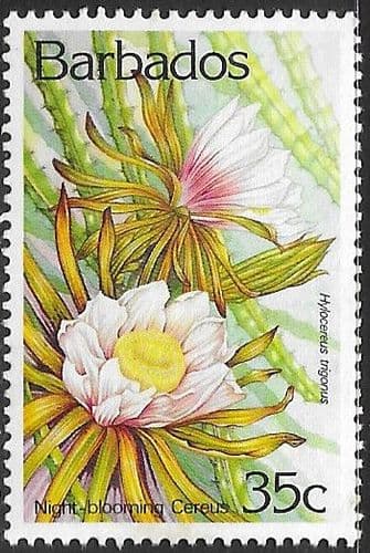 Barbados 1992 Cacti and Succulents SG 988 Fine Mint