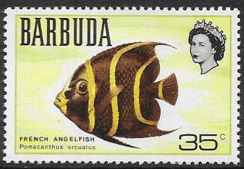 Barbuda 1968 Map of Barbuda SG 22 Fine Mint