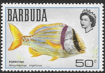 Barbuda 1968 Map of Barbuda SG 23 Fine Mint