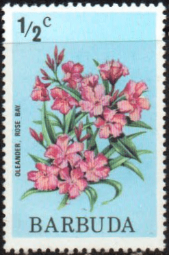 Barbuda 1974 Nature and Culture SG 181 Fine Mint