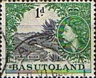 Basutoland 1954 SG 44 Queen Elizabeth Orange River Fine Used