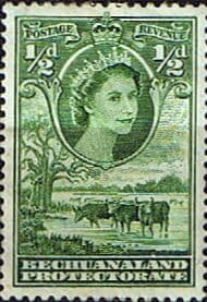 Bechuanaland 1955 Queen Elizabeth Baobab Tree and Cattle SG 143 Fine Mint
