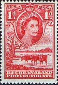 Bechuanaland 1955 Queen Elizabeth Baobab Tree and Cattle SG 144 Fine Mint