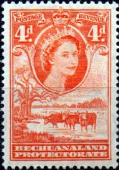 Bechuanaland 1955 Queen Elizabeth Baobab Tree and Cattle SG 146b Fine Mint