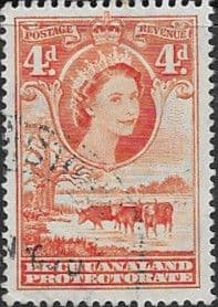 Bechuanaland 1955 Queen Elizabeth Baobab Tree and Cattle SG 146b Fine Used