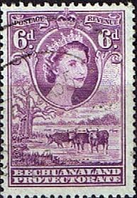 Bechuanaland 1955 Queen Elizabeth Baobab Tree and Cattle SG 148 Fine Used