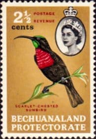 Bechuanaland 1961 Queen Elizabeth Birds SG 170 Fine Mint