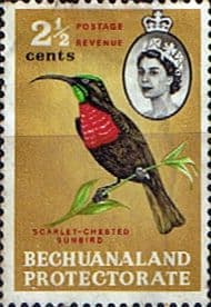 Bechuanaland 1961 Queen Elizabeth Birds SG 170 Fine Used