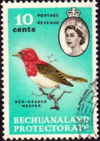 Bechuanaland 1961 Queen Elizabeth Birds SG 174 Fine Used