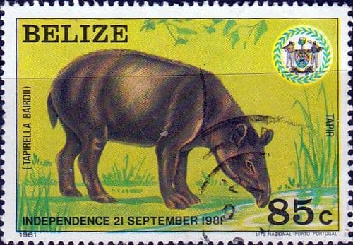 Belize 1981 Baird's Tapir SG 660 Fine Used