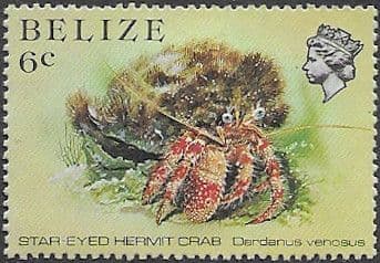 Belize 1984 Marine Life from Coral Reef SG 771 Fine Mint