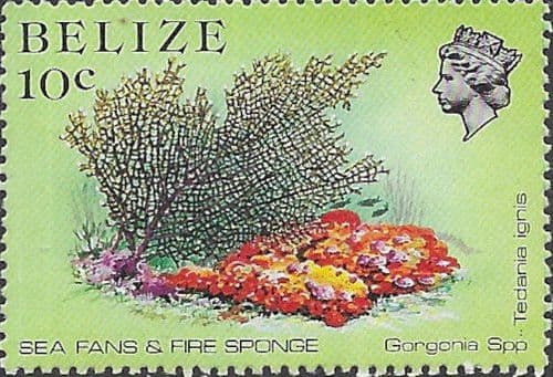 Belize 1984 Marine Life from Coral Reef SG 772a Fine Mint