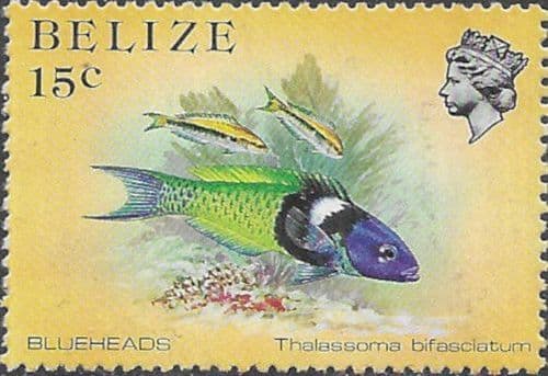 Belize 1984 Marine Life from Coral Reef SG 774a Fine Mint