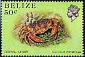 Belize 1984 Marine Life from Coral Reef SG 775a Fine Mint