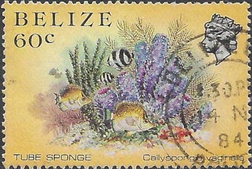 Belize 1984 Marine Life from Tube Sponge SG 776a Fine Used