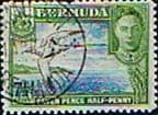 Bermuda 1938 King George VI SG 114b Bird Fine Used