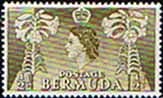 Bermuda 1953 Queen Elizabeth SG 135 Easter Lilies Fine Mint