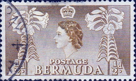 Bermuda 1953 Queen Elizabeth SG 135 Easter Lilies Fine Used