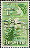 Bermuda 1953 Queen Elizabeth SG 137 Easter Lilies Fine Used