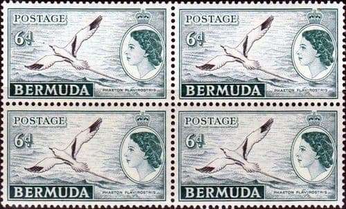 Bermuda 1953 Queen Elizabeth SG 143 White-tailed Tropic Bird Fine Mint Block of 4