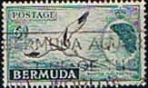 Bermuda 1953 Queen Elizabeth SG 143 White-tailed Tropic Bird Fine Used