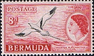 Bermuda 1953 Queen Elizabeth SG 143a White-tailed tropic bird Fine Mint